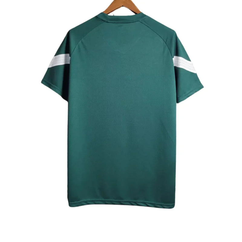 Camisa Masculina Palmeiras Treino 23/24